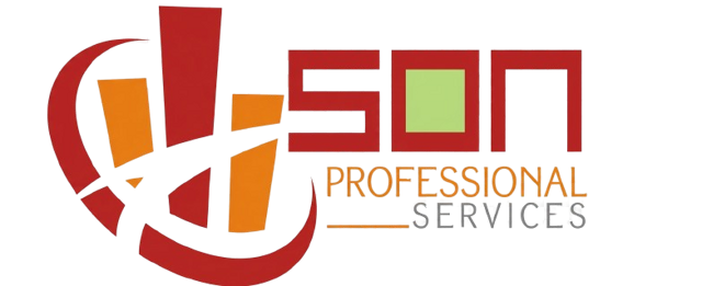 SON Professional Services